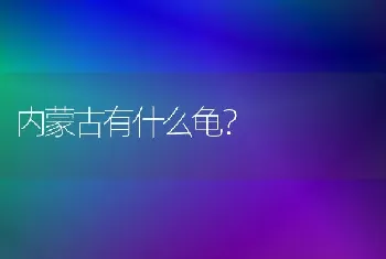 内蒙古有什么龟？