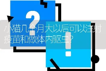 小猫几个月大以后可以注射疫苗和做体内驱虫？