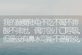 我的赫曼陆龟不吃不喝不排酸不排泄，偶尔张小口呼吸，但是没有鼻水可能不是肺炎，总是擦眼睛怎么办？