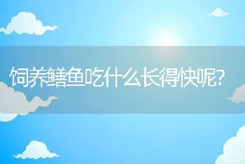 饲养鳝鱼吃什么长得快呢？