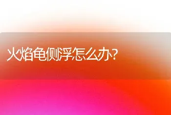 所有人如果猫猫连吃几天罐头,然后就不吃猫粮该怎么办,是不是要饿饿它？