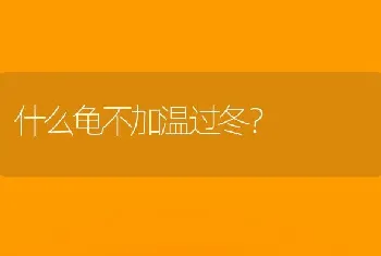 什么龟不加温过冬？