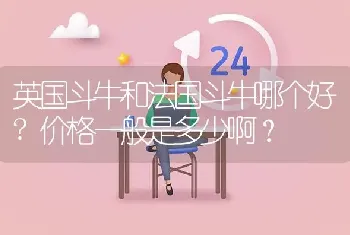 英国斗牛和法国斗牛哪个好?价格一般是多少啊？