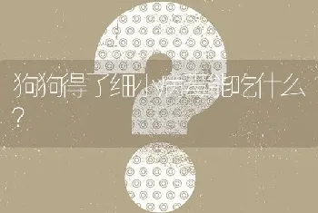 狗狗得了细小病毒能吃什么？