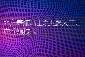 水产养殖贴士之泥鳅人工高产养殖技术