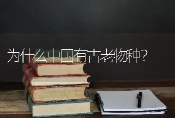 为什么中国有古老物种？