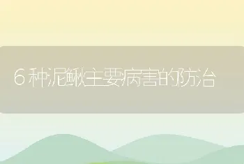 ６种泥鳅主要病害的防治