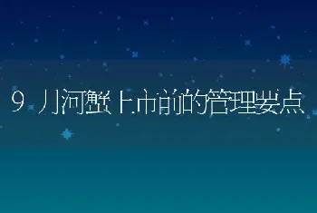 9月河蟹上市前的管理要点