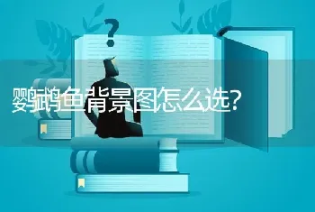 鹦鹉鱼背景图怎么选？