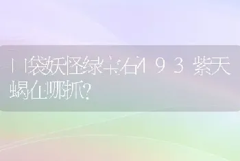 口袋妖怪绿宝石493紫天蝎在哪抓？