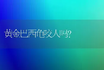 黄金巴西龟咬人吗？