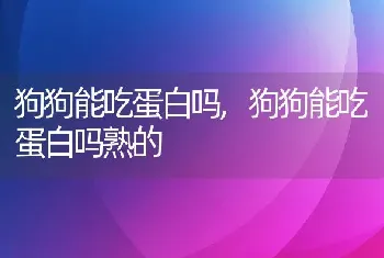 狗狗能吃蛋白吗，狗狗能吃蛋白吗熟的