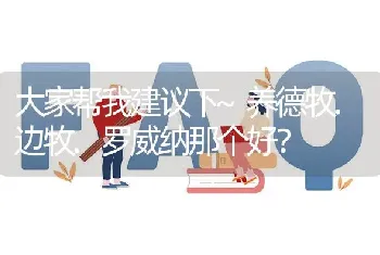 大家帮我建议下~养德牧.边牧.罗威纳那个好？