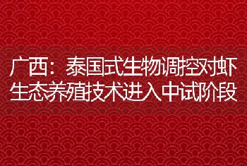 广西：泰国式生物调控对虾生态养殖技术进入中试阶段