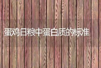 蛋鸡日粮中蛋白质的标准