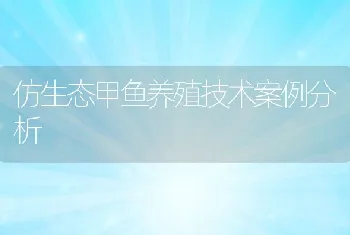 仿生态甲鱼养殖技术案例分析