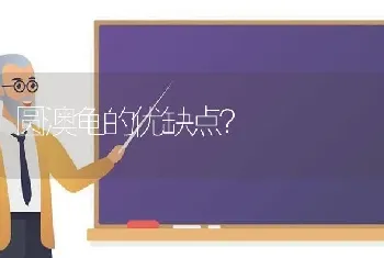 圆澳龟的优缺点？