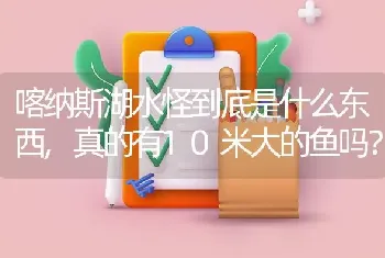 喀纳斯湖水怪到底是什么东西,真的有10米大的鱼吗？