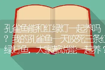 孔雀鱼能和红绿灯一起养吗？我的孔雀鱼一天咬死三条红绿灯鱼，大家都说能一起养？