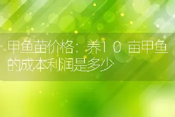 甲鱼苗价格：养10亩甲鱼的成本利润是多少