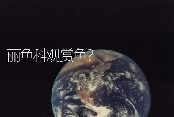 新手怎样养仓鼠？