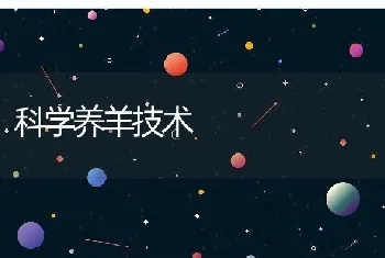 科学养羊技术