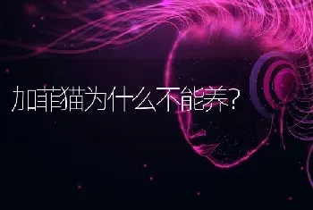 加菲猫为什么不能养？