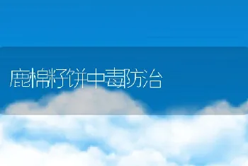 饲料添加剂最新研究进展