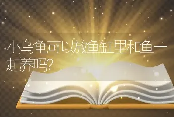 小乌龟可以放鱼缸里和鱼一起养吗？