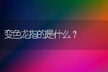 变色龙指的是什么？