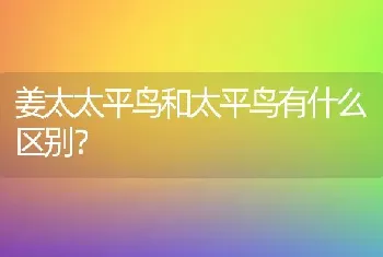 姜太太平鸟和太平鸟有什么区别？