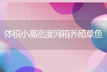 体积小高密度网箱养殖草鱼