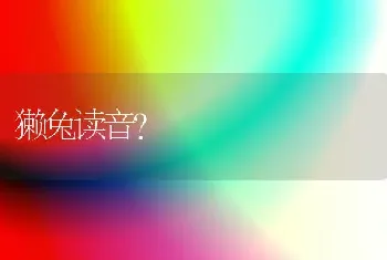 獭兔读音？