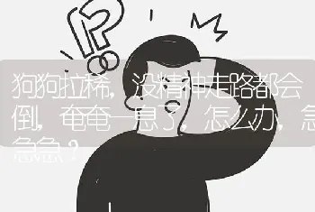 狗狗拉稀，没精神走路都会倒，奄奄一息了，怎么办，急急急？