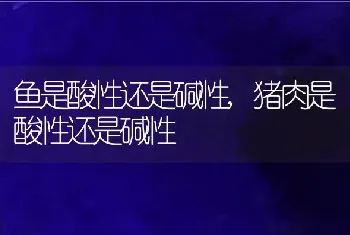 鱼是酸性还是碱性，猪肉是酸性还是碱性