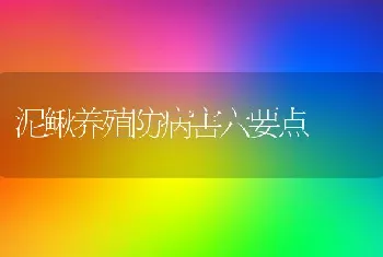 泥鳅养殖防病害六要点