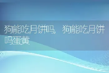 狗能吃月饼吗，狗能吃月饼吗蛋黄