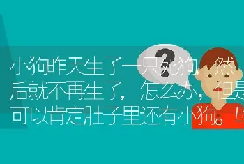 小狗昨天生了一只死狗,然后就不再生了,怎么办，但是可以肯定肚子里还有小狗。母狗的精神很好。这种情？