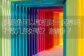 鹦鹉鱼可以和招财一起养吗？放几条好呢？谢谢》？