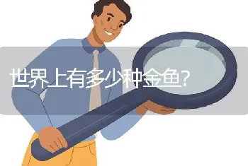 世界上有多少种金鱼？