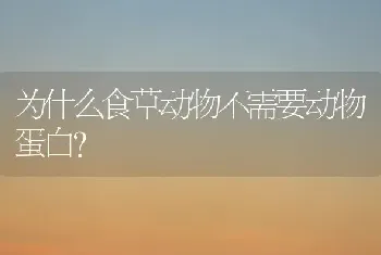 为什么食草动物不需要动物蛋白？