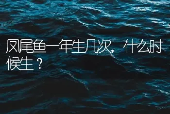 凤尾鱼一年生几次，什么时候生？