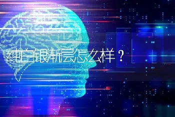 纯白银渐层怎么样？