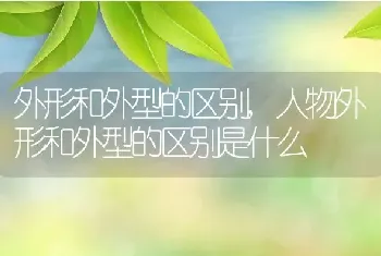 外形和外型的区别，人物外形和外型的区别是什么