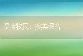 温情牧民：接羔保畜