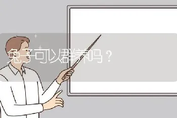 泰迪和比熊配种取什么名字？