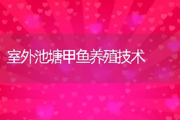 室外池塘甲鱼养殖技术