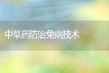 中草药防治兔病技术