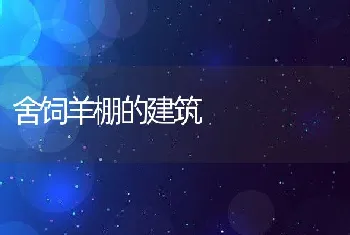 舍饲羊棚的建筑