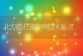 北方蓝孔雀养殖技术要点